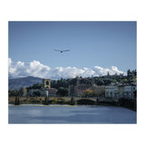Volare A Firenze (Print Only) thumbnail