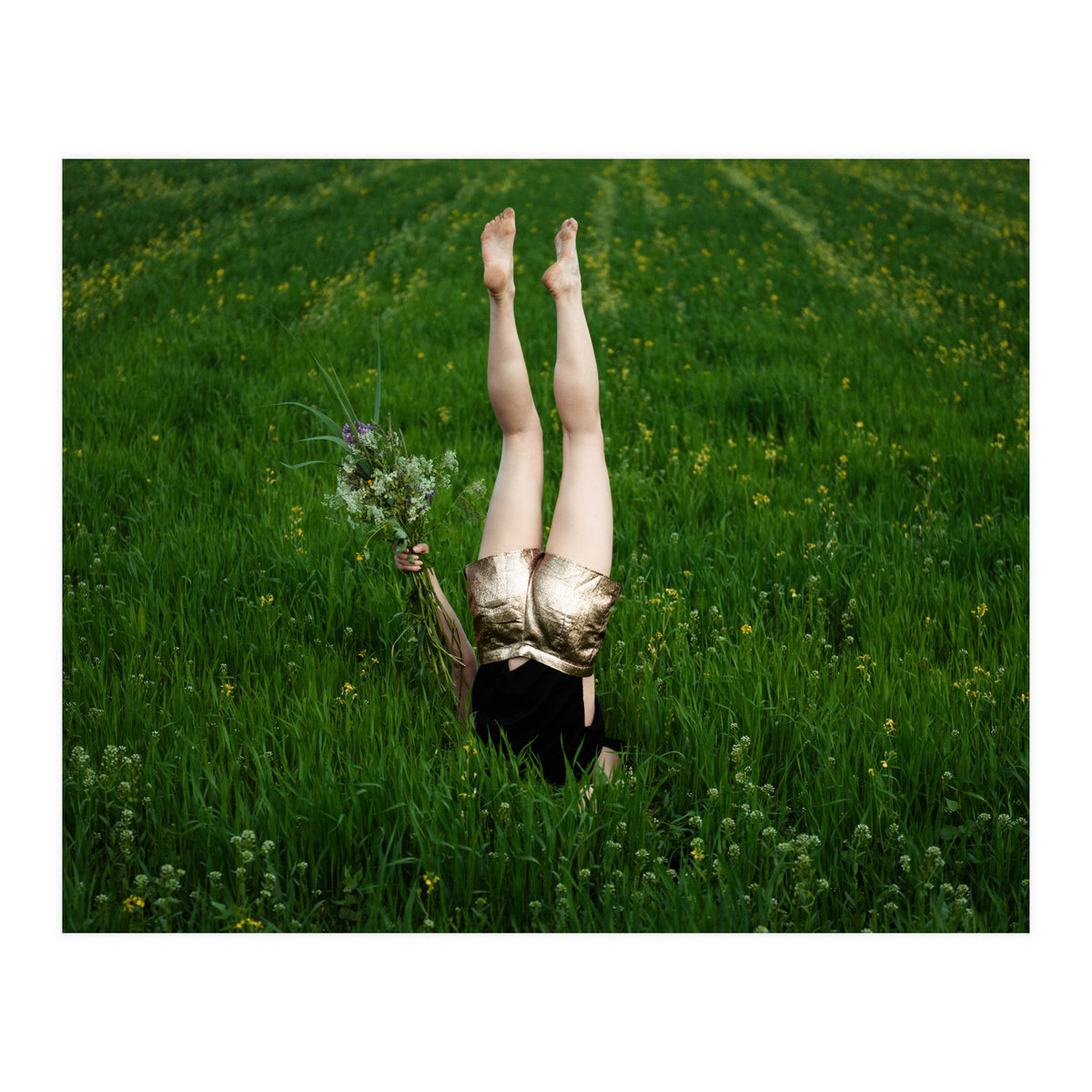 Gravity (Print Only)