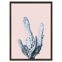 Cactus collection BL-I