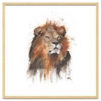 Lion - Wildlife Collection