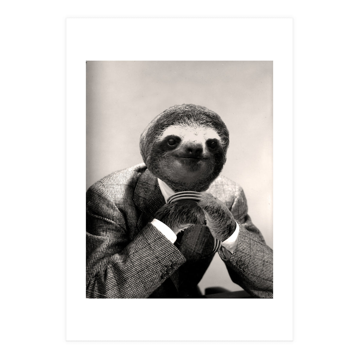 Gentleman Sloth 3 (Print Only)