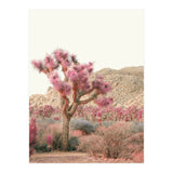 Boho Joshua Tree Cactus (Print Only) thumbnail