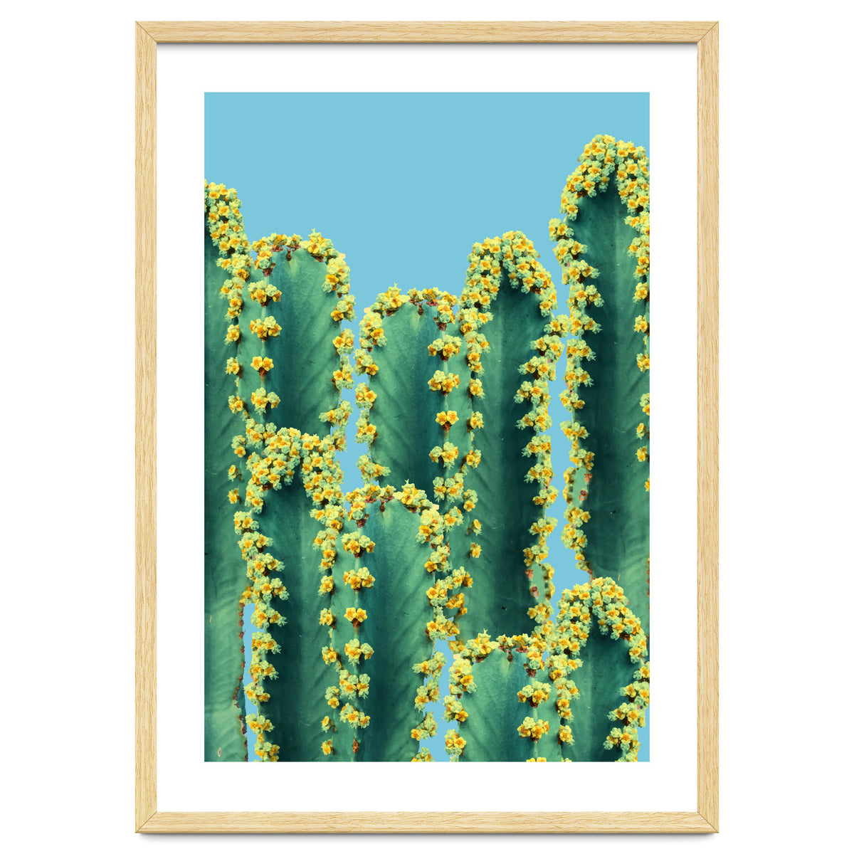 Adorned Cactus V2