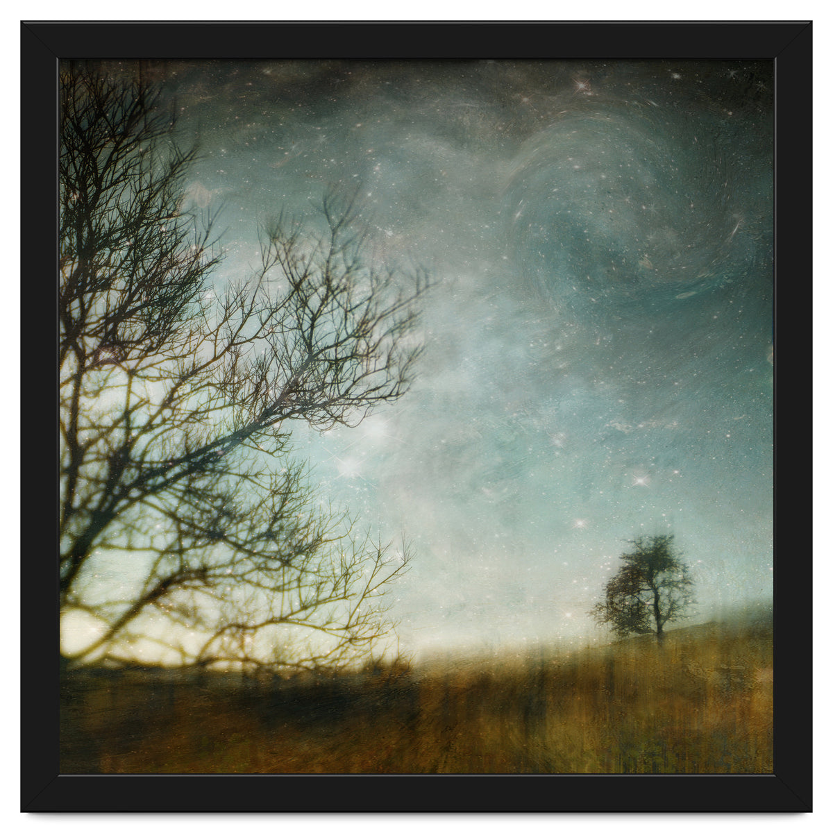 The Tree That Whispered