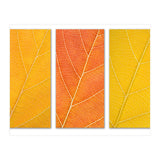Autumn Leaves (Print Only) thumbnail