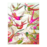 Haven (Print Only) thumbnail