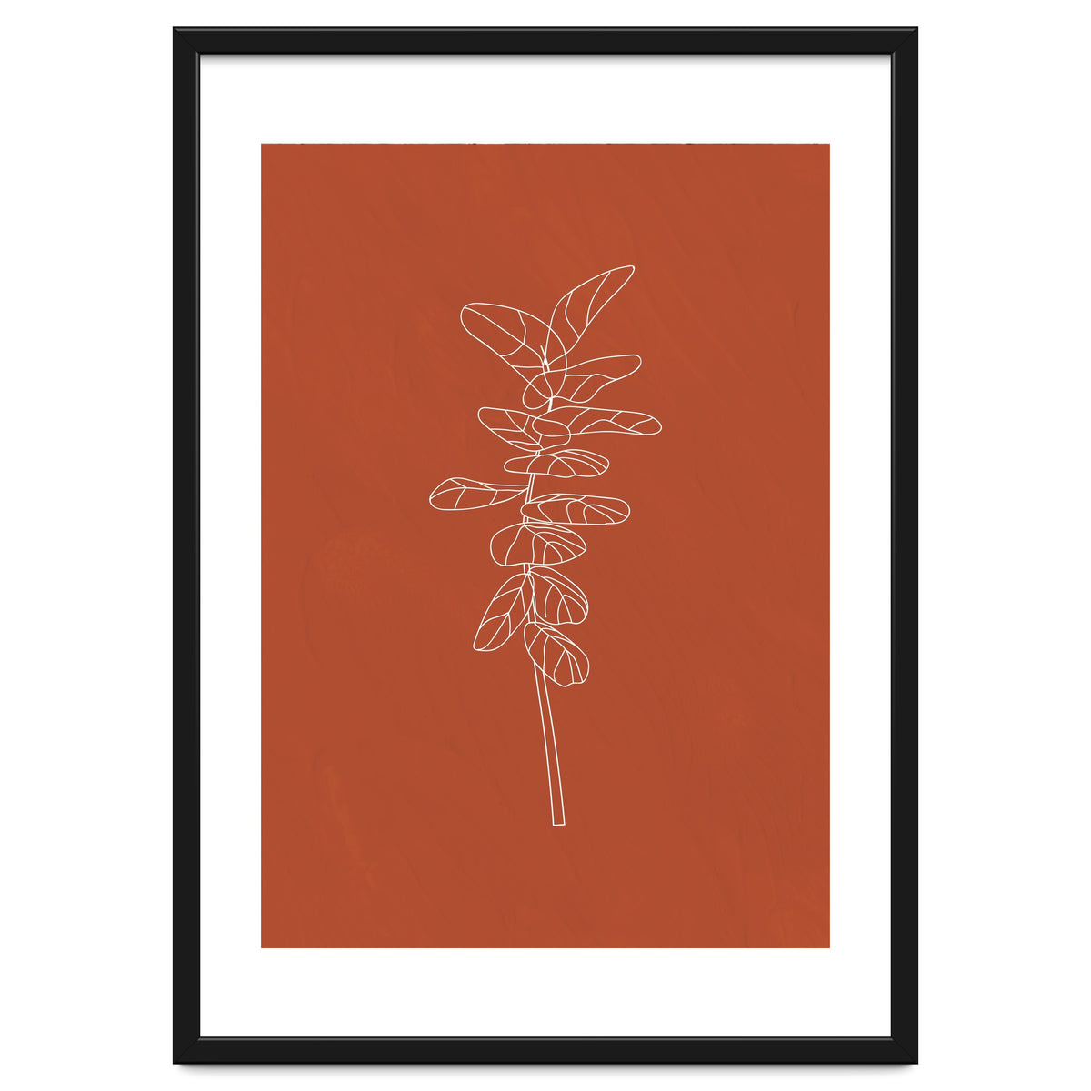 Line Art Botanical Terracotta