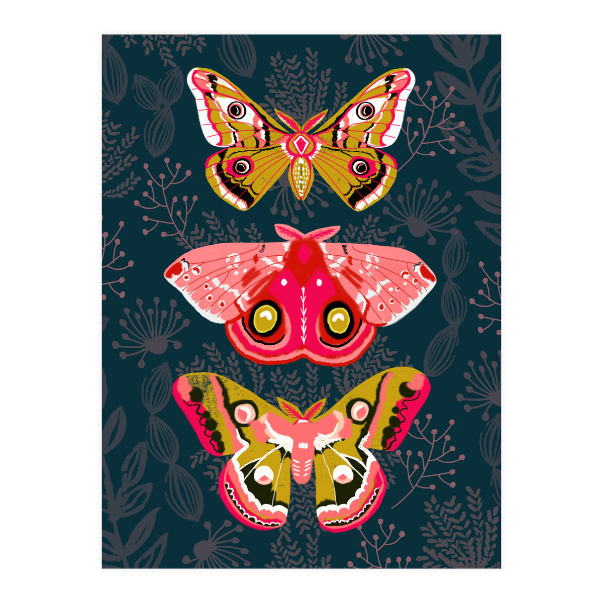 Lepidoptery Study No. 4 (Print Only)