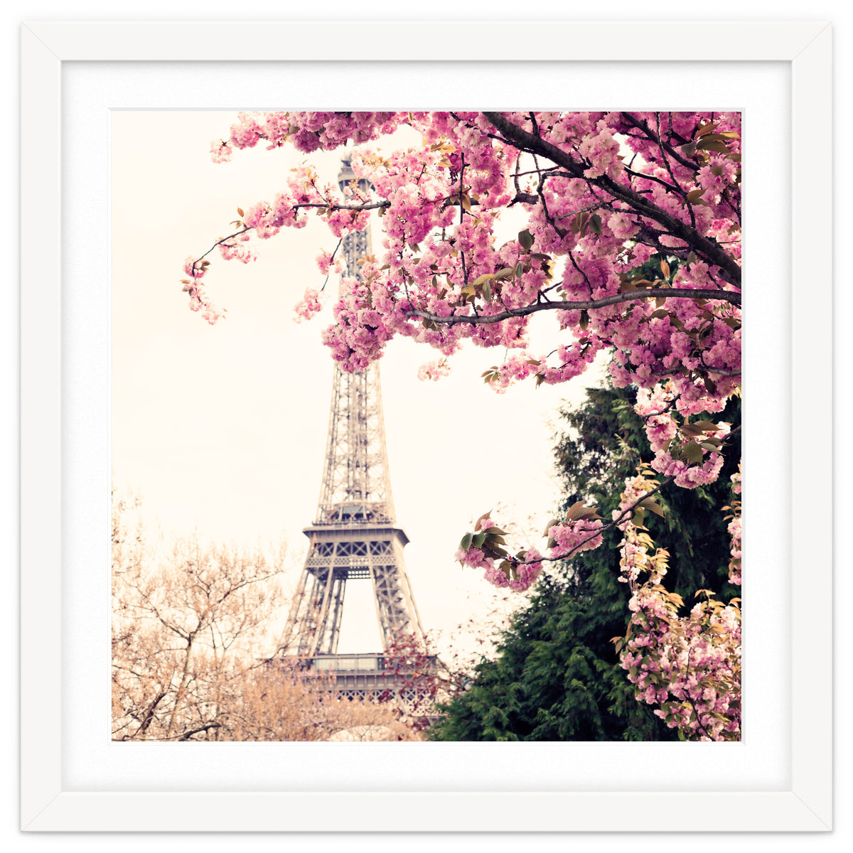 Paris in the Spring