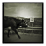 Struan Road (Print Only) thumbnail