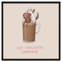 Hot Chocolate Labrador
