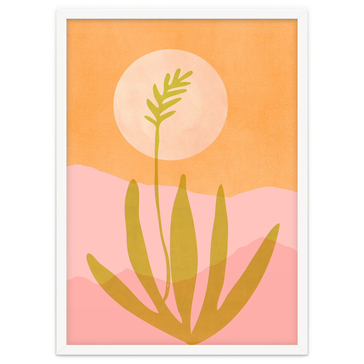 Desert Moon With Agave