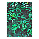 Greener (Print Only) thumbnail