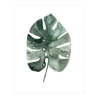Botanical Illustration Monstera Leaf (Print Only)