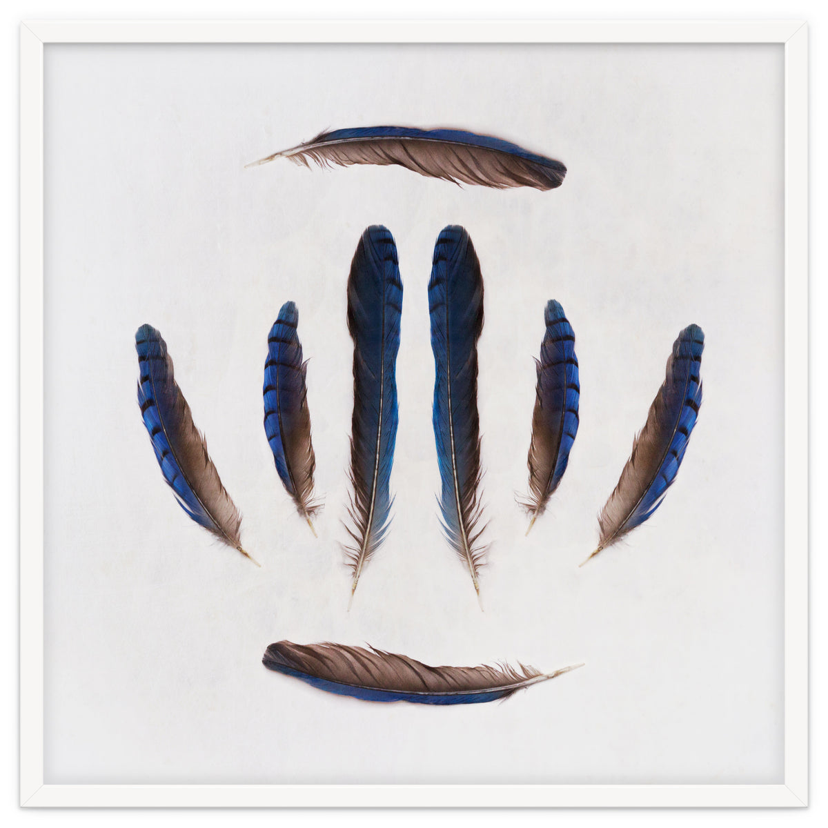 Forgive Me For Forgetting