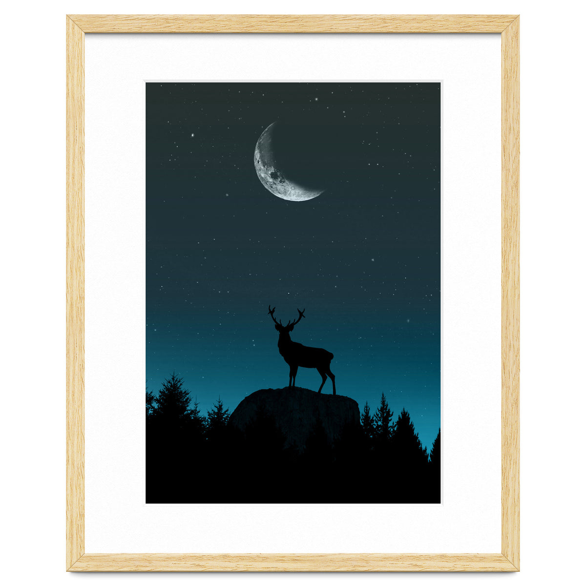 Wild Nature - Nocturne