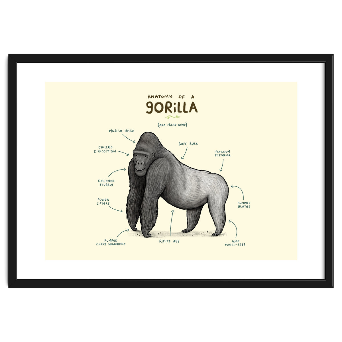 Anatomy of a Gorilla