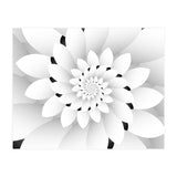 Monochrome Floral Design  (Print Only) thumbnail