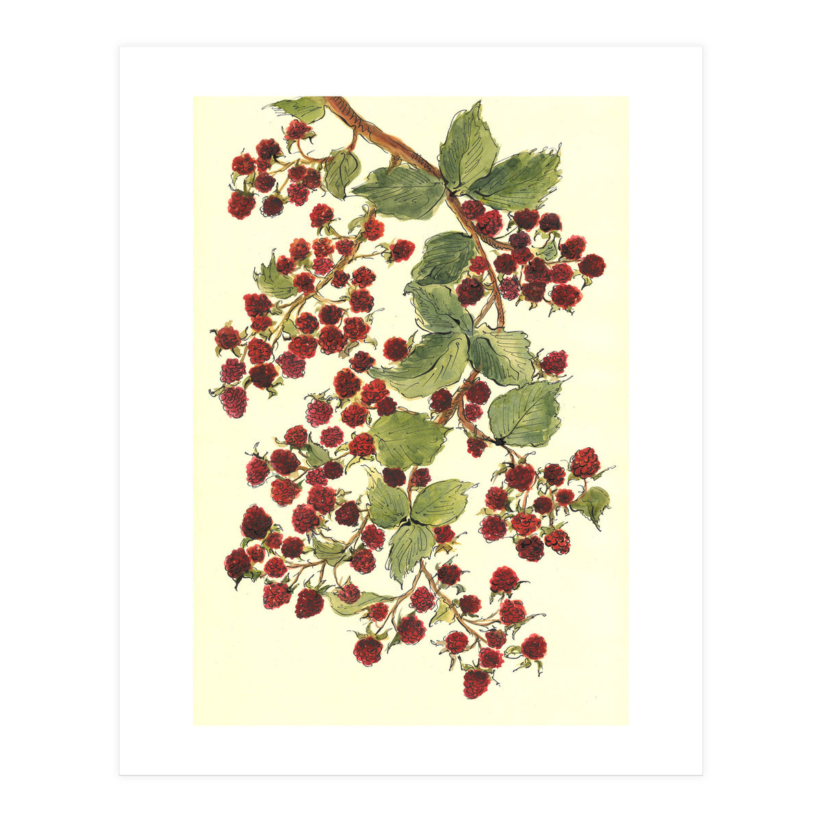 Raspberry (Print Only)