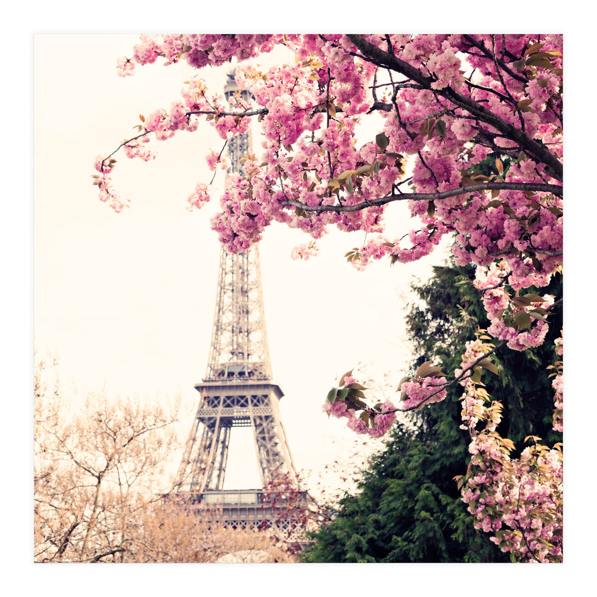Paris in the Spring (Print Only)