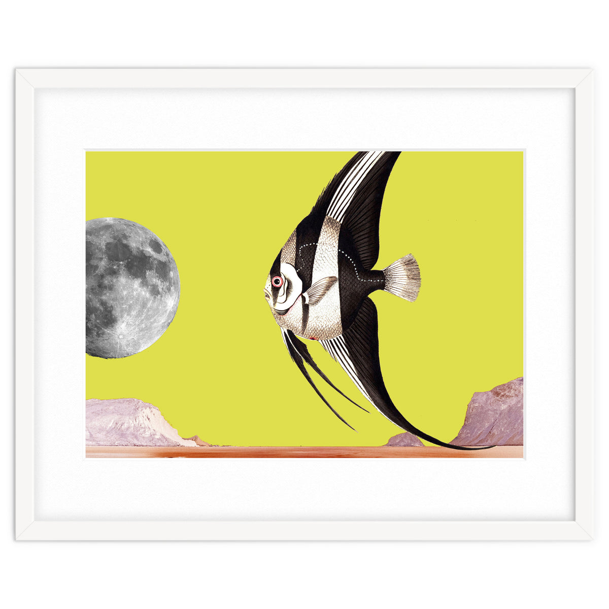 Plenty of fish in the sea yellow