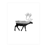 30 (Print Only) thumbnail