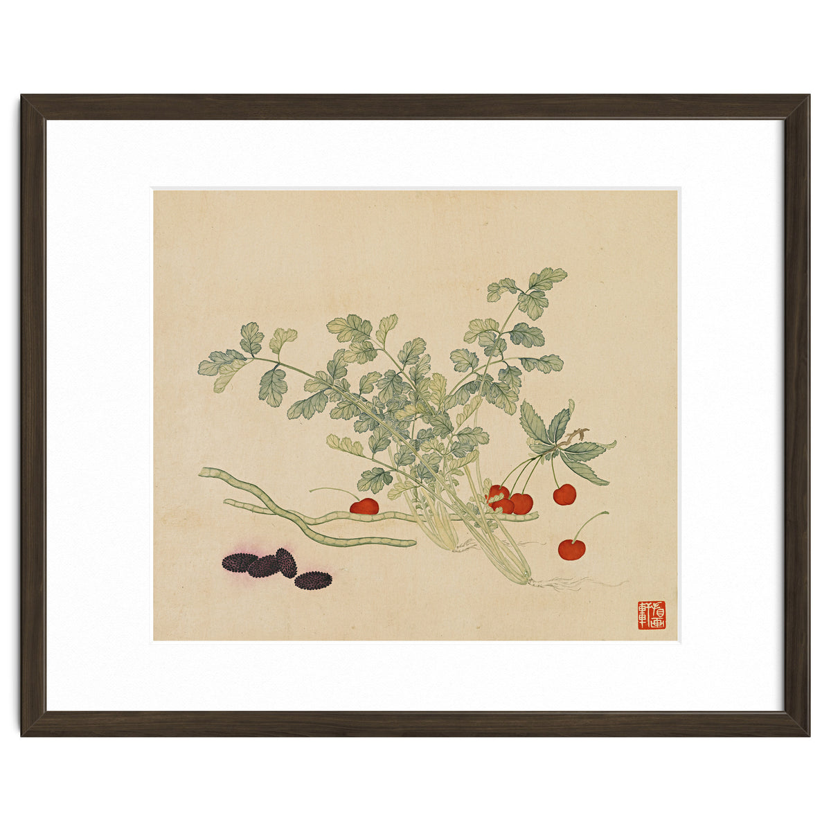 Wang Chengyu~flowers And Vegetables, Vegetables, Fruits, Beans, Red Beans, Cherries, Celery