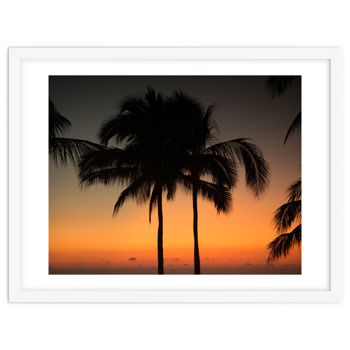 Mexico, November nights