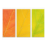 Autumn Leaves (Print Only) thumbnail