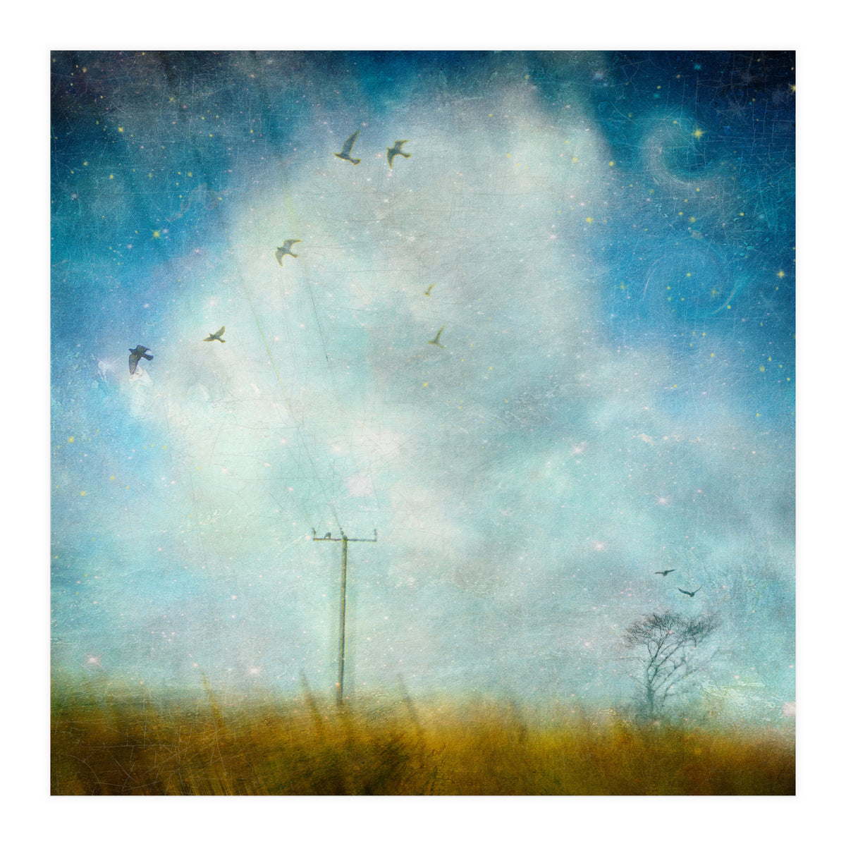 Silence, Shattered (Print Only)