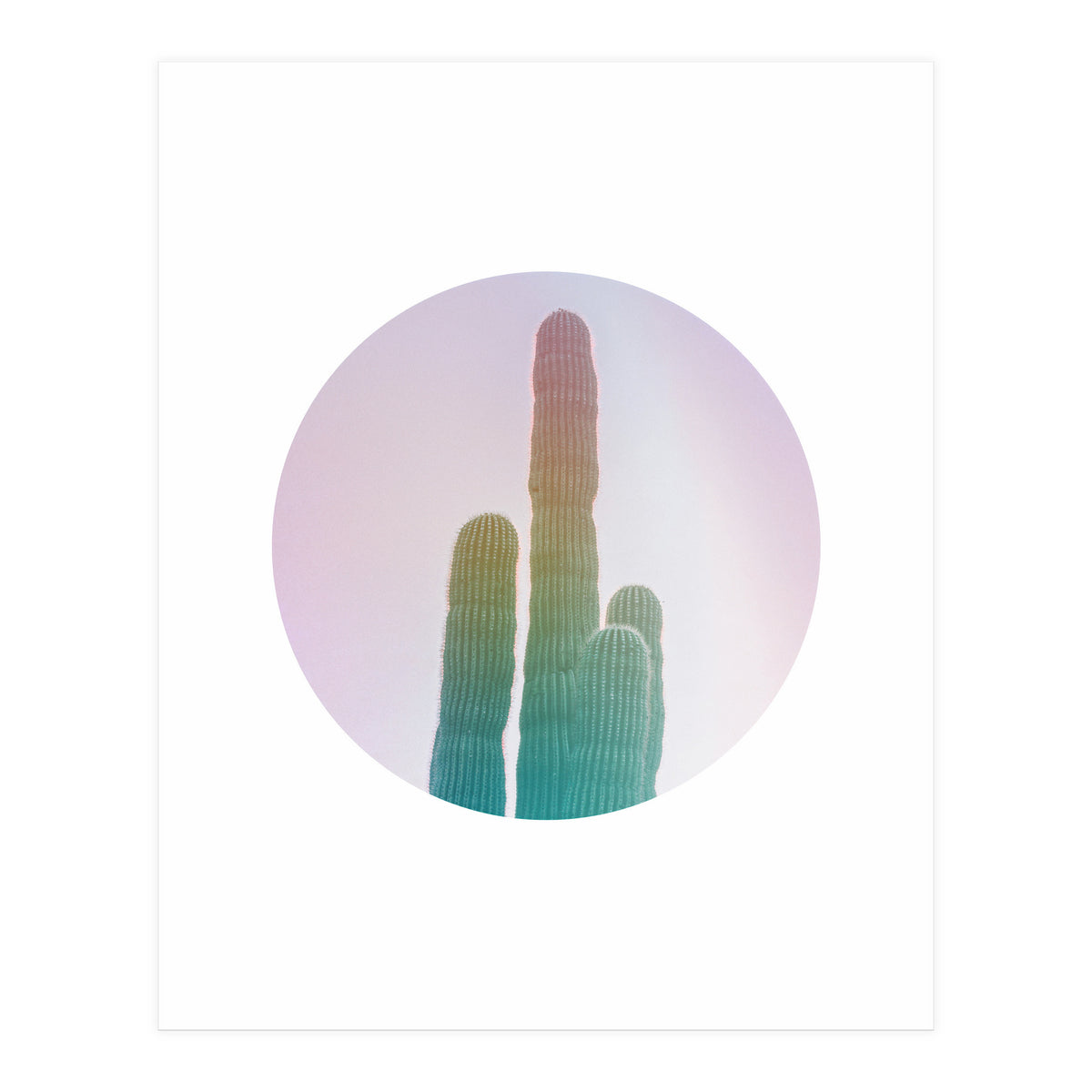 Circular Cacti (Print Only)