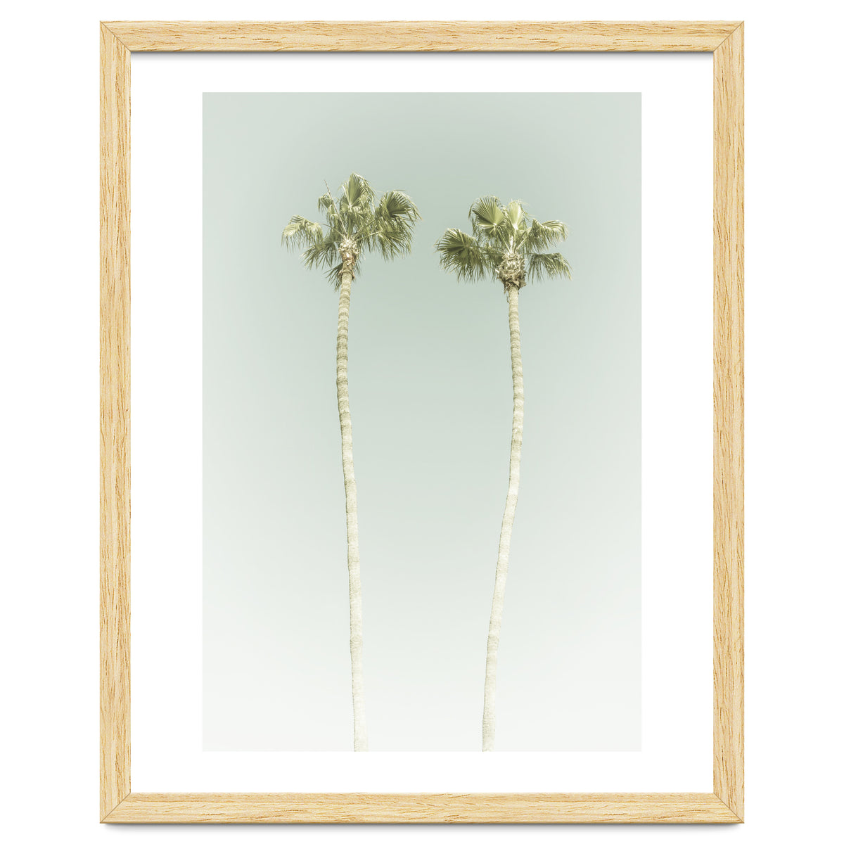 Vintage Palm Trees