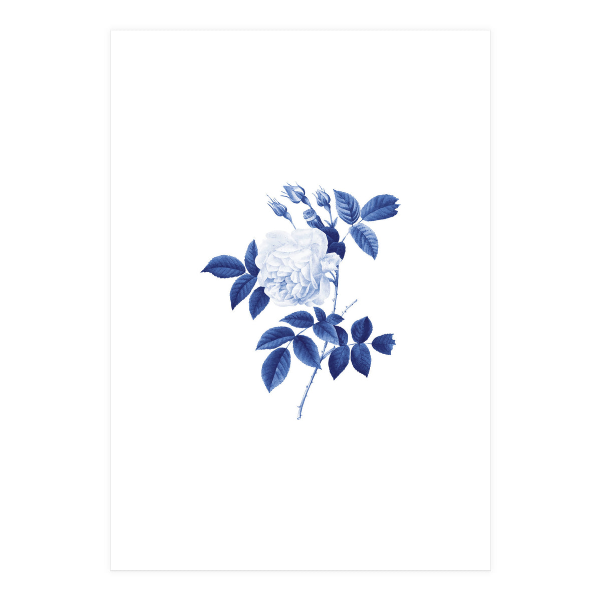 Blue Botanic II (Print Only)