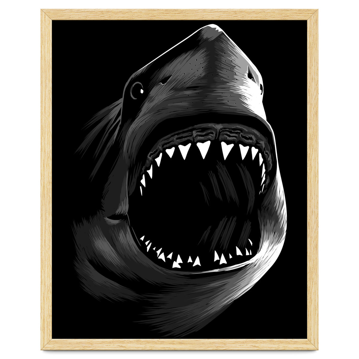 Megalodon
