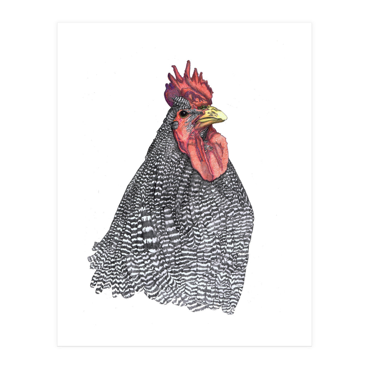 Chicken No.1 (Print Only)