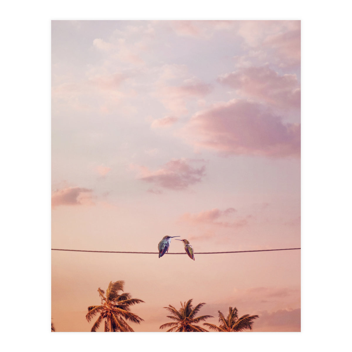 Hummingbirds In Love (Print Only)