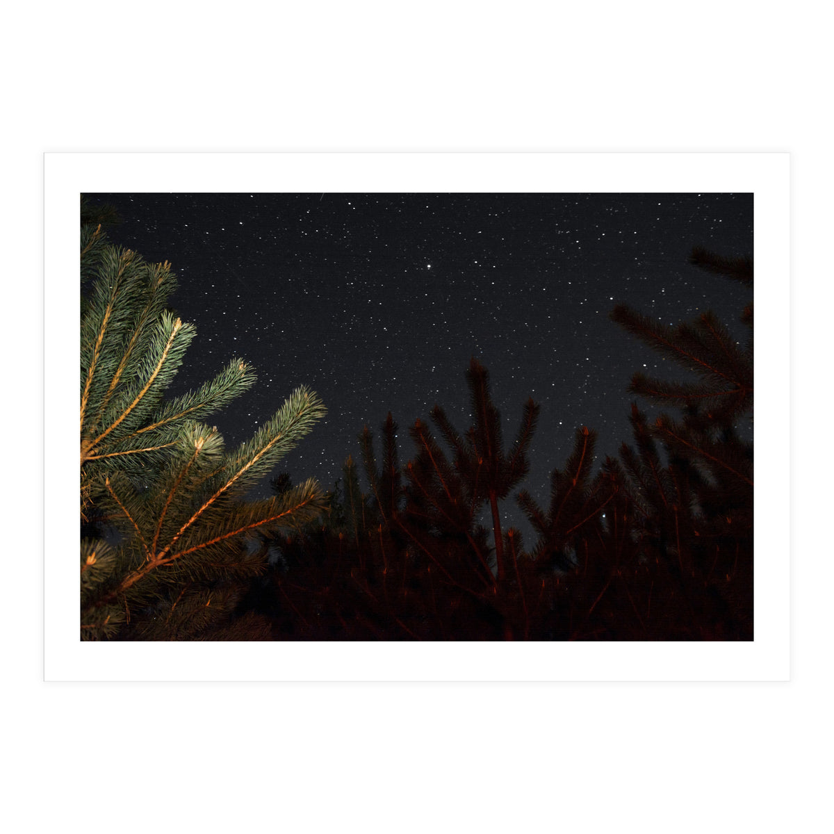 Sputnik Turntables (Print Only)