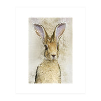 Harriet Hare (Print Only)