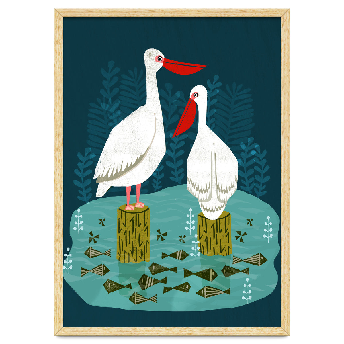 Pelicans