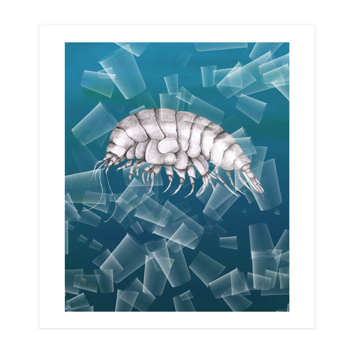 Eurythenes Plasticus (Print Only)