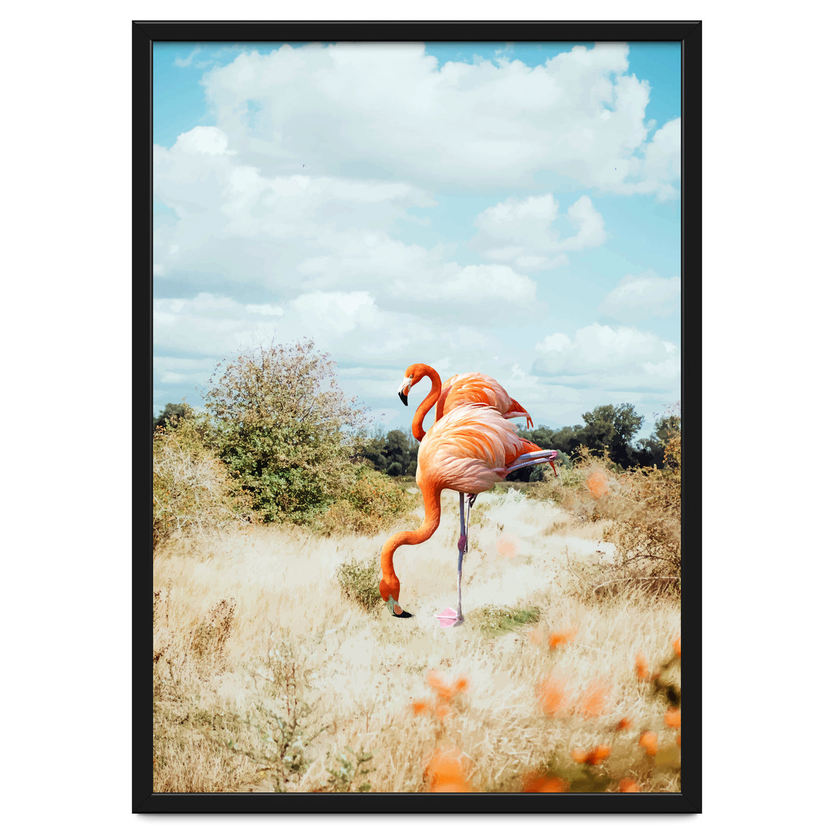 Flamingo Couple