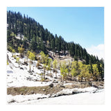 Kashmir V2 (Print Only) thumbnail