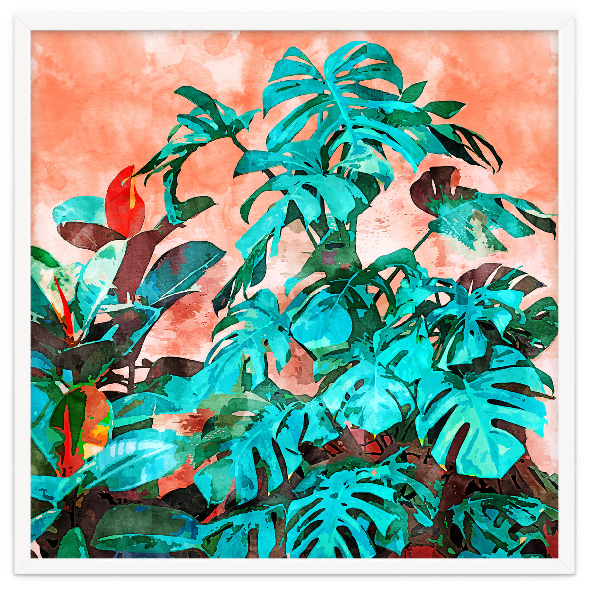 Monstera In My Backyard