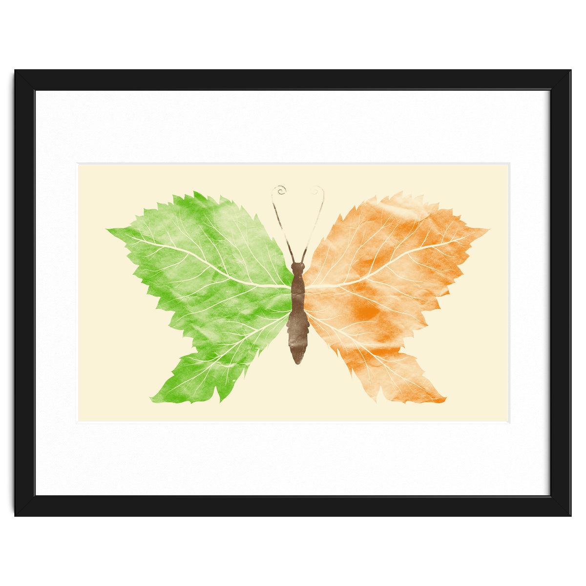 Seasons Change Time Flies