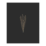 Delicate Fynbos Botanicals in Gold and Black (Print Only) thumbnail