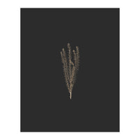 Delicate Fynbos Botanicals in Gold and Black (Print Only)