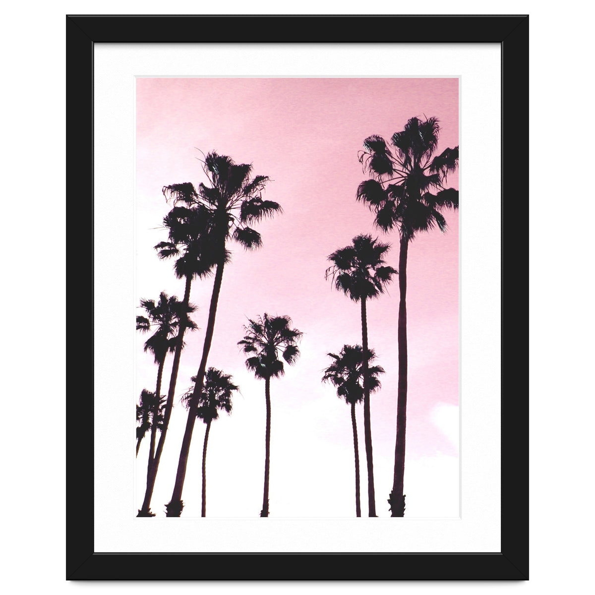 Palms & Sunset