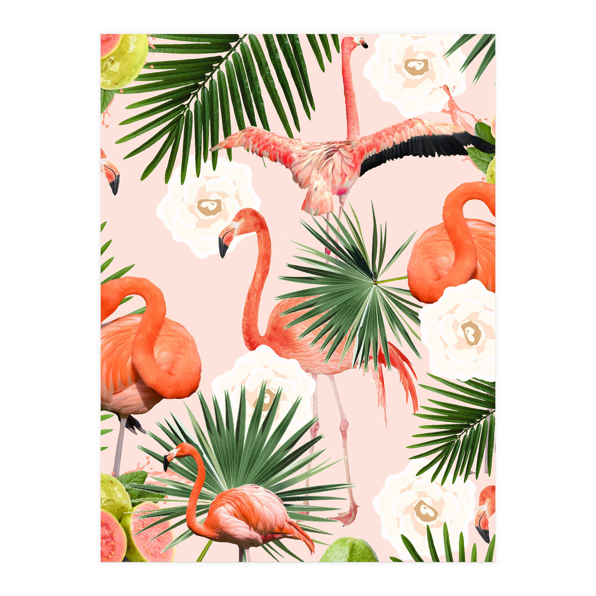 Flamingo Guava (Print Only)