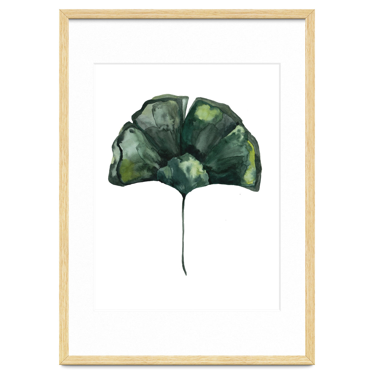 Botanical Illustration Ginko