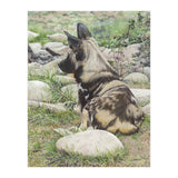 African Painted Dog I (Print Only) thumbnail